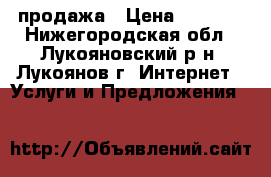 продажа › Цена ­ 3 000 - Нижегородская обл., Лукояновский р-н, Лукоянов г. Интернет » Услуги и Предложения   